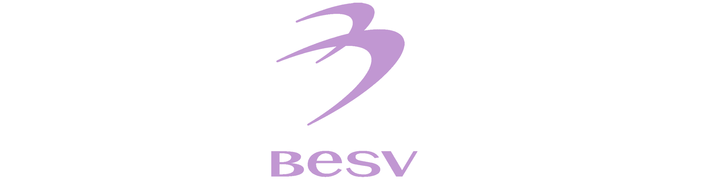 BESV BESV
