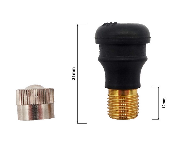 E-Scooter Ventil AV Kurz