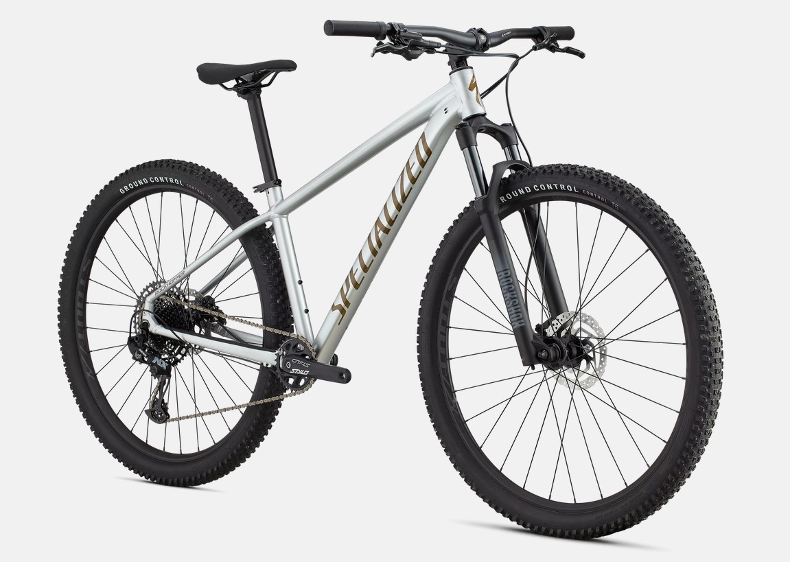 Specialized Rockhopper Expert 29 Silver Dust