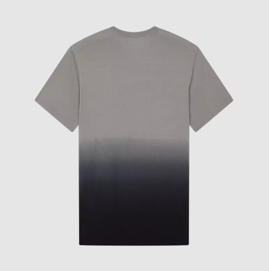 Fox Hello Fox Premium Tee Stahlgrau