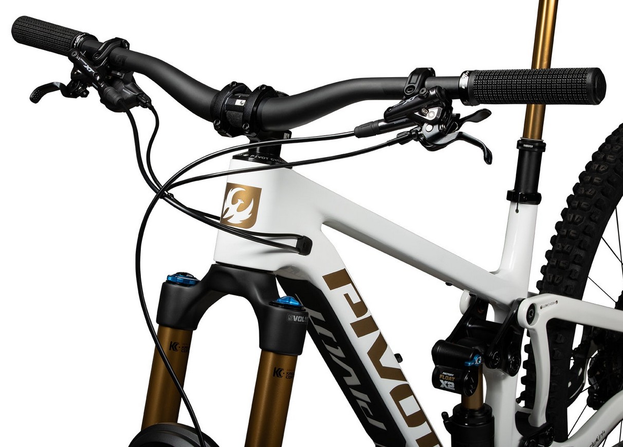 Pivot Firebird Team XX Eagle Transmission Podium