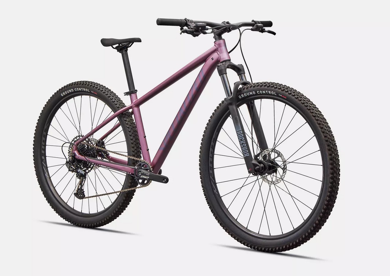 Specialized Rockhopper 29 Expert Satin Quartz